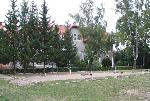 BK BRYZKA - boisko do piłki siatkowej (ziemne)